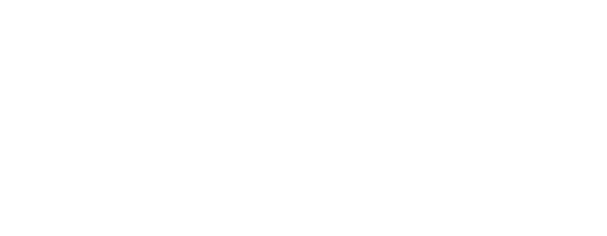 Universidad del Desarrollo